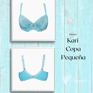 Brasier Kari con soft